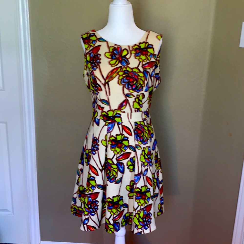 Dress Size M Ark&Co